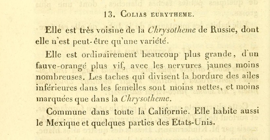 Original description of the Orange Sulphur butterfly - Colias eurytheme - from 1852
