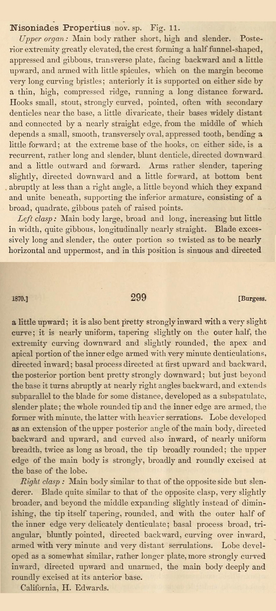 Original description of Gesta propertius - Propertius Duskywing - from 1870