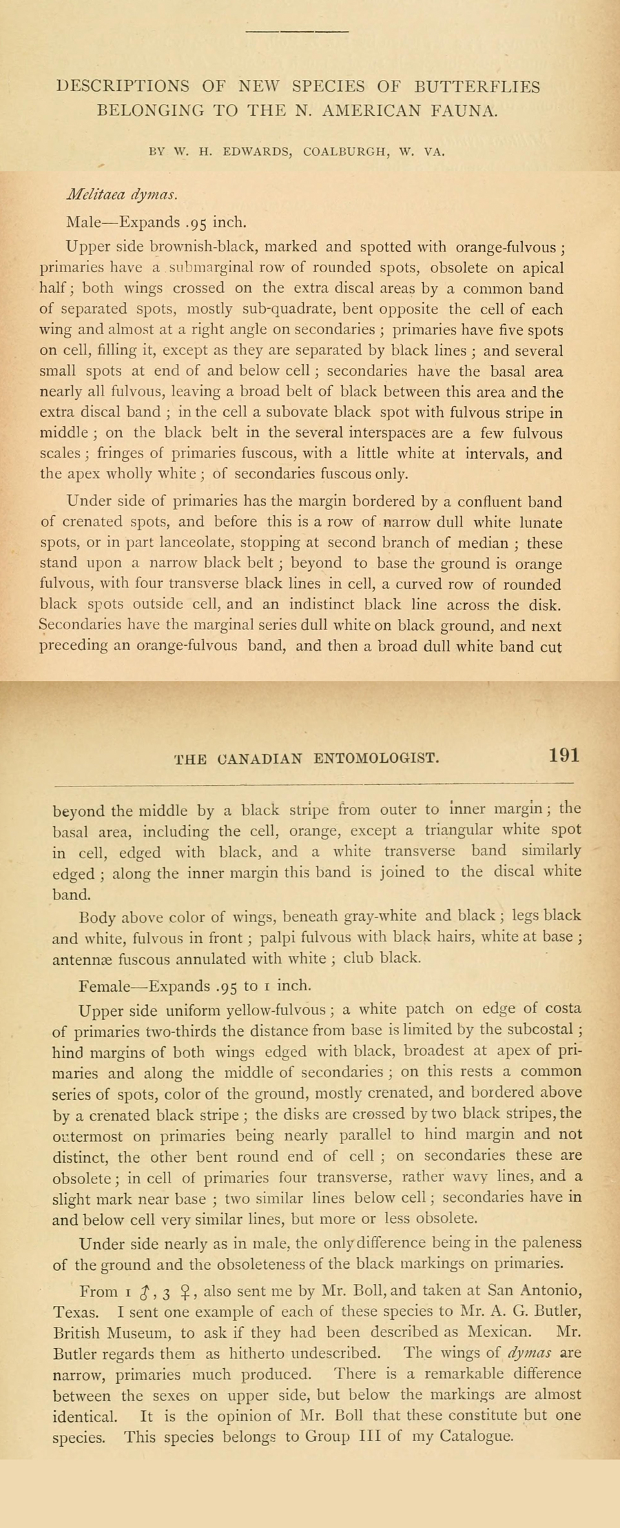 Original description of Microtia dymas - Tiny Checkerspot - by William Henry Edwards