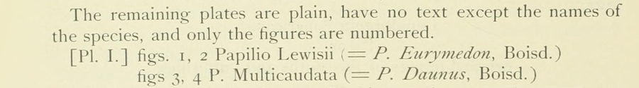 Original description of Papilio multicaudata - Two-tailed Swallowtail