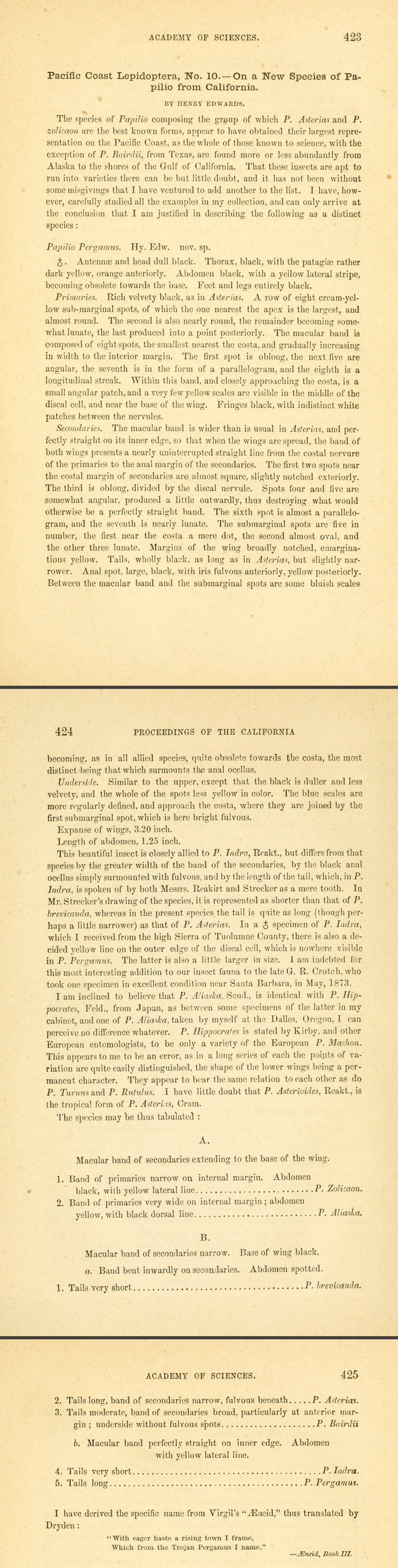 Original description of Papilio indra pergamus